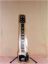 1960 Fender Champ Lap Steel